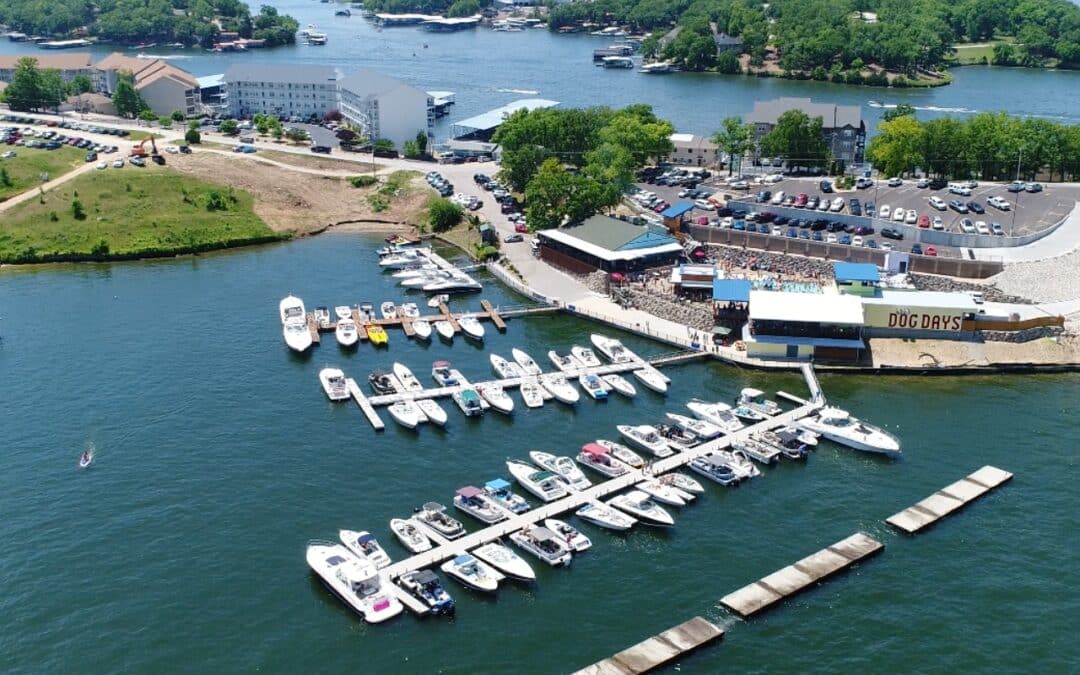 Aerial view of dog days